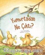 Yumurtadan Ne Çıktı?