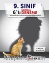 9. Sınıf Sarmal 6 Deneme Video Çözümlü