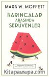 Karıncalar Arasında Serüvenler