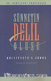 Hücciyyetü's-Sünne (Sünnetin Delil Oluşu)