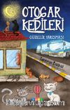 Otogar Kedileri 1 / Güzellik Yarışması