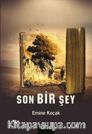 Son Bir Şey