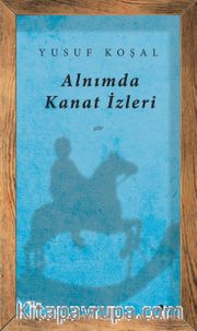 Alnımda Kanat İzleri