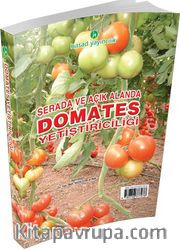 Serada ve Açık Alanlarda Domates Yetiştiriciliği