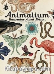 Animalium / Hayvanlar Alemi Müzesi
