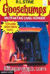 Mutfaktaki Canlı Sünger
