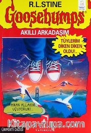 Akıllı Arkadaşım