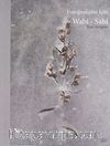 Fotoğrafçılar İçin Wabi-Sabi