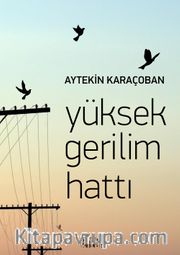 Yüksek Gerilim Hattı