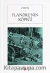 Flandre’nin Köpeği