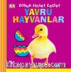 Yavru Hayvanlar / Bebek Dokun Hisset Keşfet