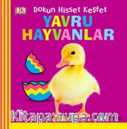 Yavru Hayvanlar / Bebek Dokun Hisset Keşfet