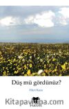 Düş mü Gördünüz?
