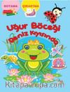 Uğur Böceği Deniz Kıyısında