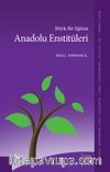 Böyle Bir Eğitim Anadolu Enstitüleri