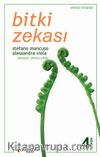 Bitki Zekası