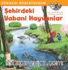 Şehirdeki Yabani Hayvanlar / Dünyayı Öğreniyorum