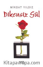 Dikensiz Gül