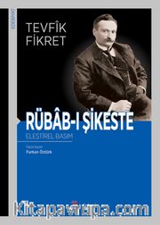 Rübab-ı Şikeste (Eleştirel Basım)