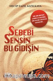 Sebebi Sensin Bu Gidişin