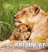 National Geographic Kids -  Aslanlar (Afrika'da Safari)