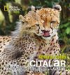 National Geographic Kids - Çitalar (Afrika'da Safari)
