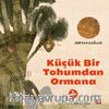 Küçük Bir Tohumdan Ormana