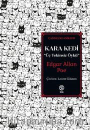 Kara Kedi <br /> Üç Tekinsiz Öykü
