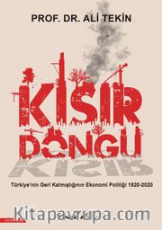 Kısır Döngü