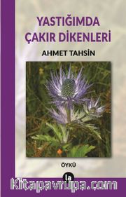 Yastığımda Çakır Dikenleri