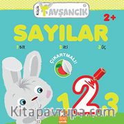 Sayılar