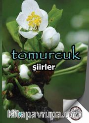 Tomurcuk 