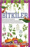 Bitkiler