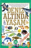 Deniz Altında Yaşam