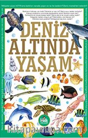 Deniz Altında Yaşam