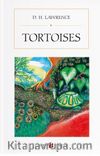 Tortoises