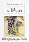 Irish Fairy Tales