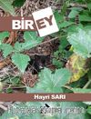 Birey