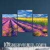 Full Frame 3 Parçalı Ahşap Poster - Basamaklı Yerleşim - Lavanta ve Ayçiçek Tarlası (FF-BY026)