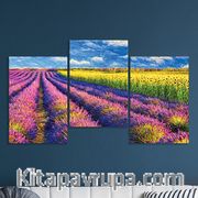 Full Frame 3 Parçalı Ahşap Poster - Basamaklı Yerleşim - Lavanta ve Ayçiçek Tarlası (FF-BY026)