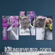 Full Frame 3 Parçalı Ahşap Poster - Basamaklı Yerleşim - Sulama Kovasında Kedicikler(FF-BY008)