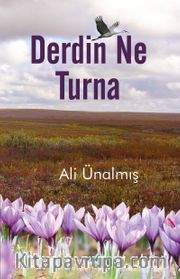 Derdin Ne Turna