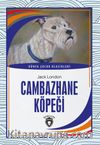 Cambazhane Köpeği
