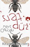 Ters Düz