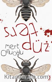 Ters Düz