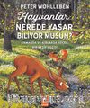 Hayvanlar Nerede Yaşar Biliyor Musun?