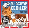 Daha da Küçükler İçin Şu Acayip Kediler