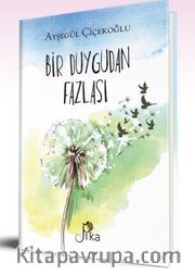 Bir Duygudan Fazlası