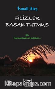 Filizler Başak Tutmuş