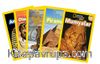National Geographic Kids- Tarih Öncesi Mitoloji Seti (5 Kitap)